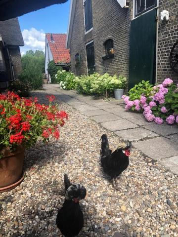 B&B De Beijersche Stee, Logies aan de Waterkant Stolwijk Buitenkant foto