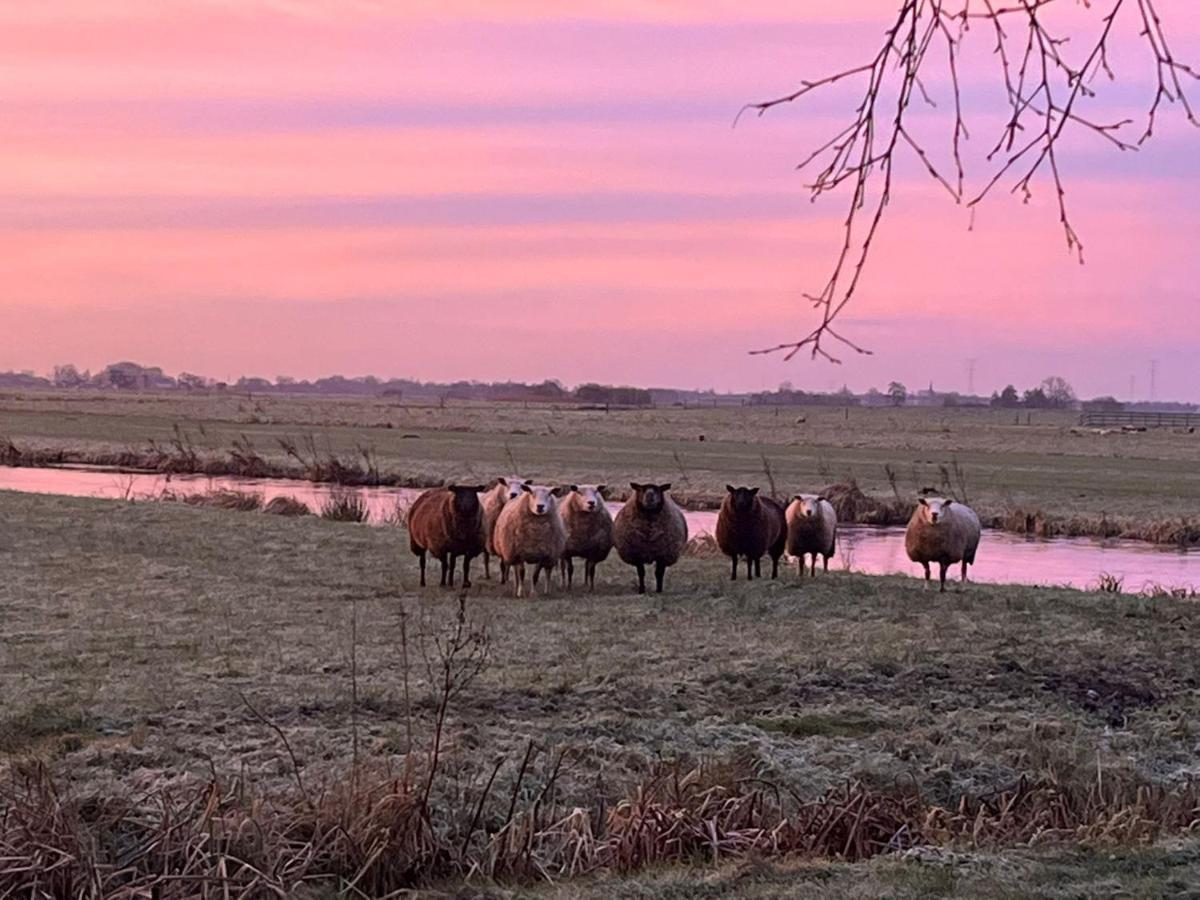 B&B De Beijersche Stee, Logies aan de Waterkant Stolwijk Buitenkant foto